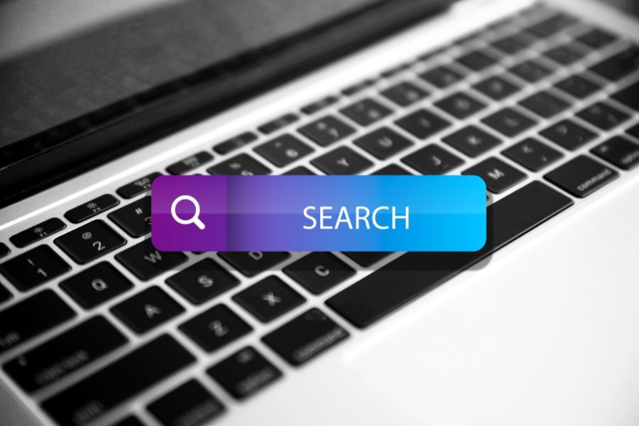 search engine spider simulator by alaikas